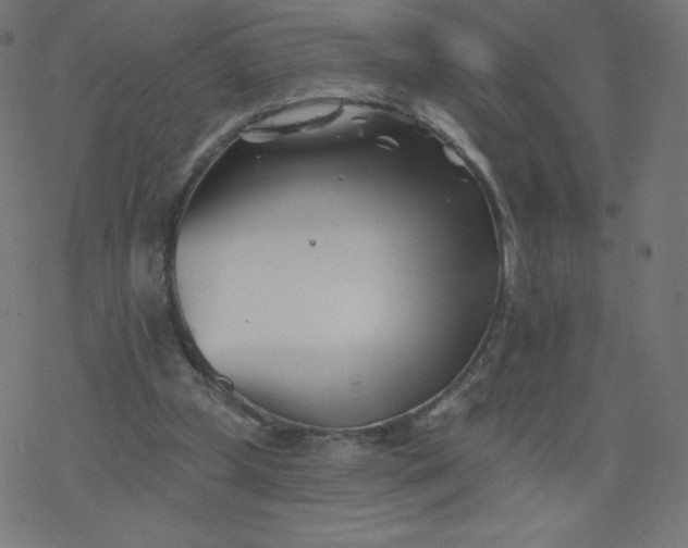 X0000077350249200611031828