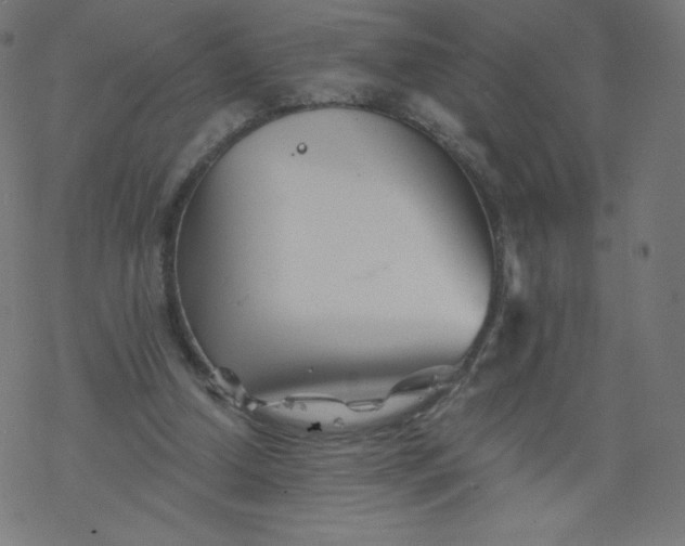 X0000077350250200611031828