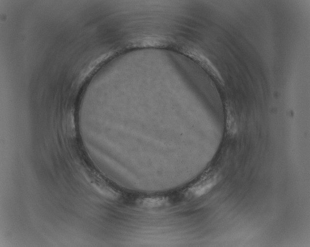 X0000077350251200611031828