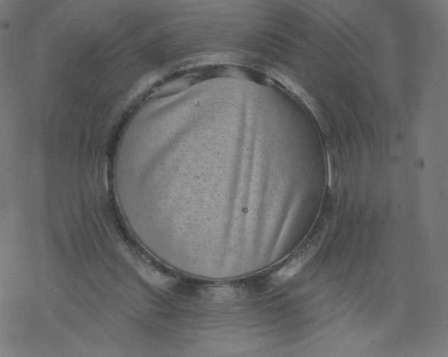 X0000077350253200611031828