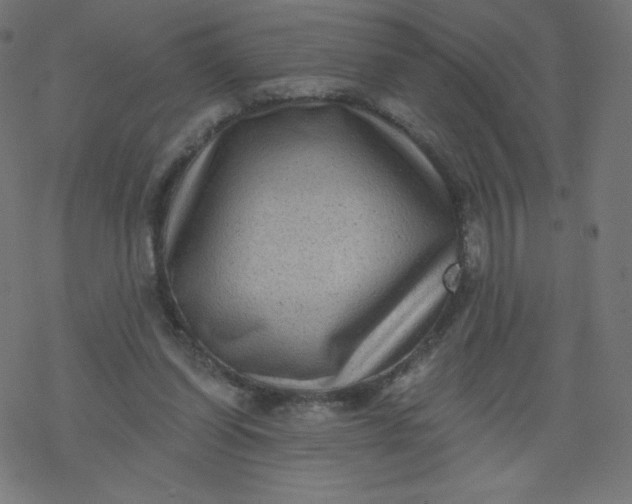 X0000077350254200611031828