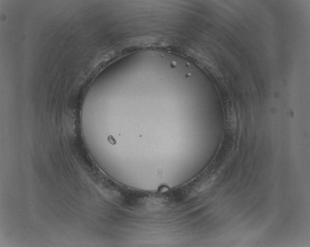 X0000077350255200611031828