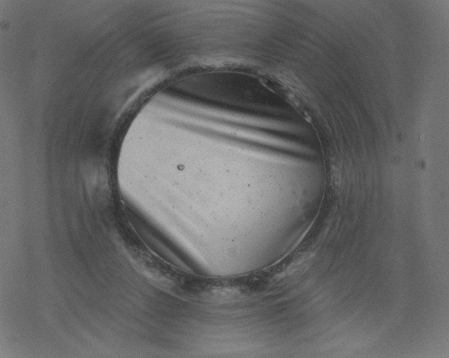 X0000077350256200611031828