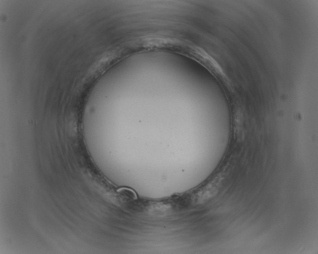 X0000077350257200611031828