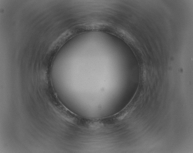 X0000077350258200611031828