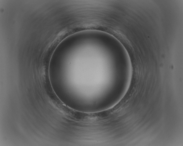 X0000077350260200611031828