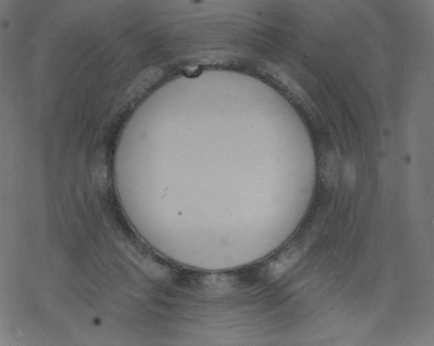 X0000077350261200611031828