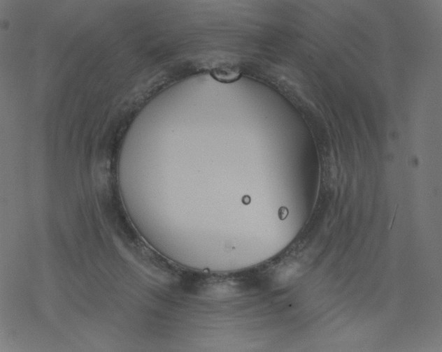 X0000077350263200611031828