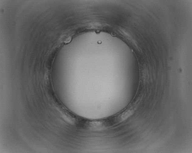 X0000077350265200611031828