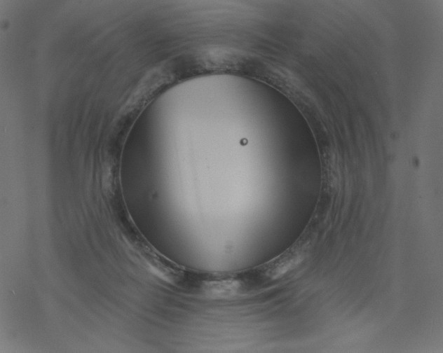 X0000077350266200611031828