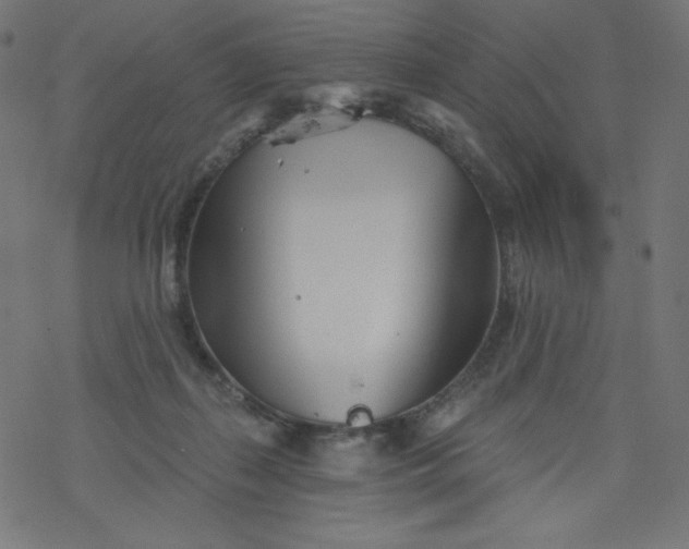 X0000077350267200611031828