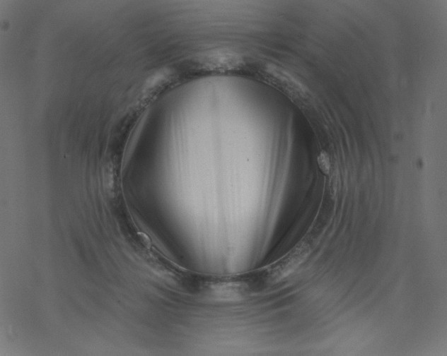 X0000077350268200611031828