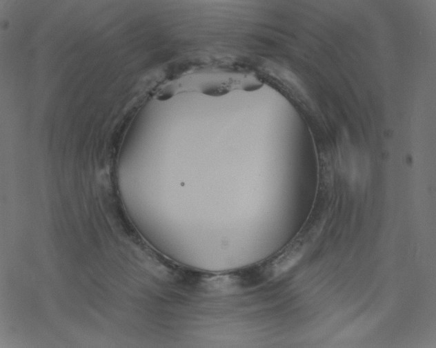 X0000077350269200611031828