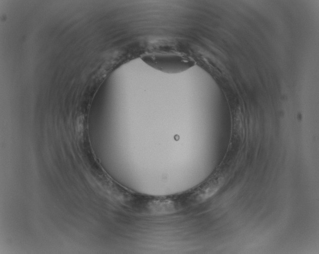 X0000077350271200611031828