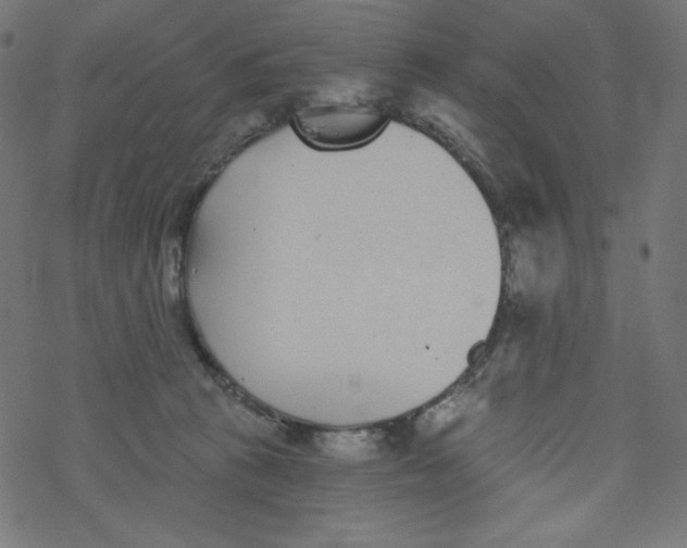 X0000077350273200611031829