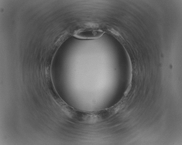 X0000077350276200611031829