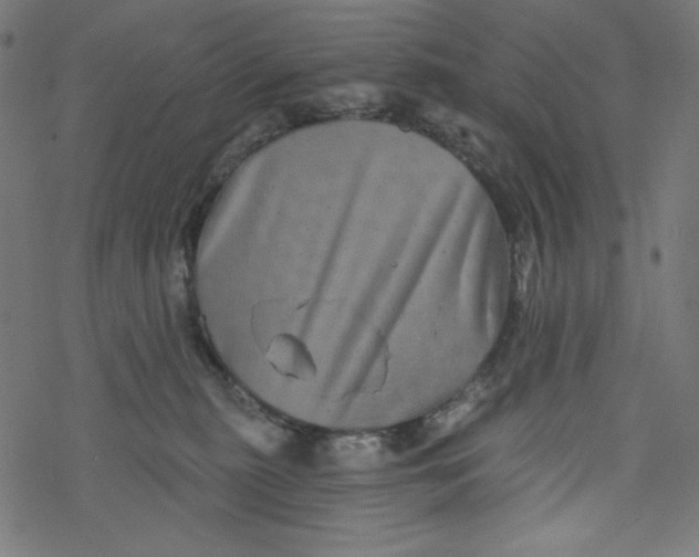 X0000077350279200611031829