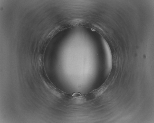 X0000077350280200611031829