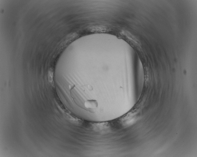 X0000077350281200611031829