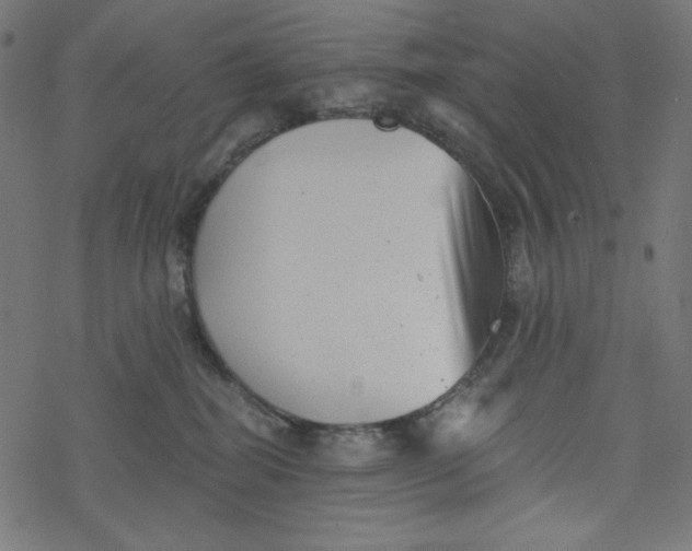 X0000077350282200611031829