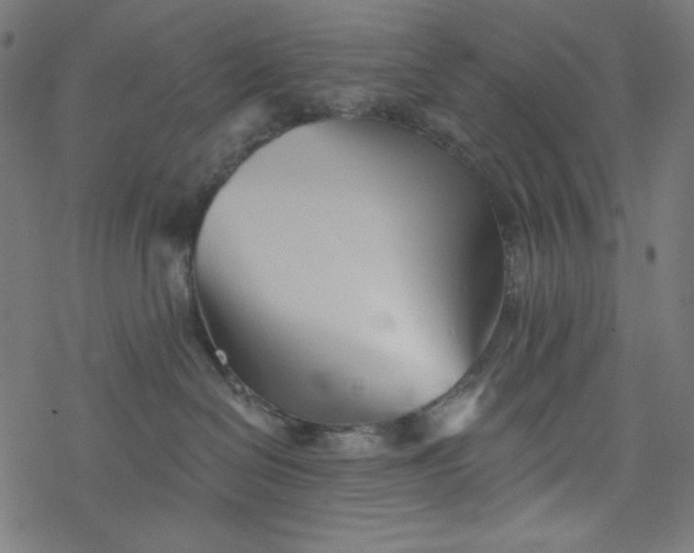 X0000077350286200611031829