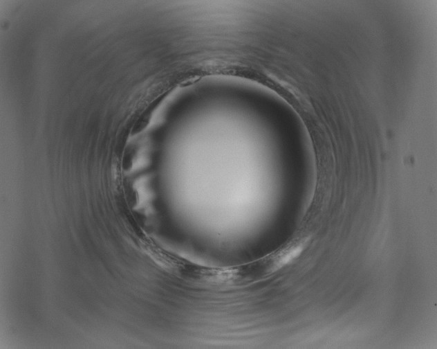 X0000077350288200611031829