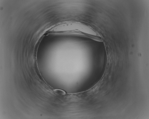 X0000077350290200611031828