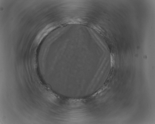 X0000077350291200611031828