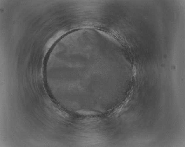 X0000077350292200611031828