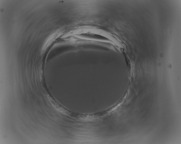 X0000077350293200611031828