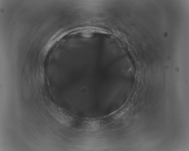 X0000077350295200611031828