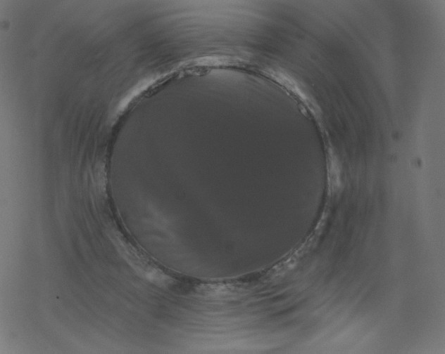 X0000077350297200611031828