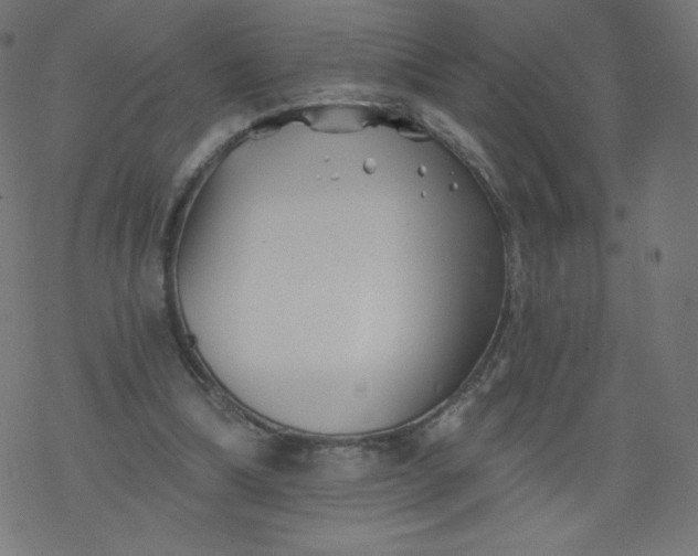 X0000077350298200611031828