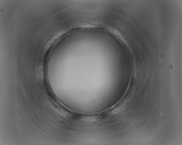 X0000077350299200611031828