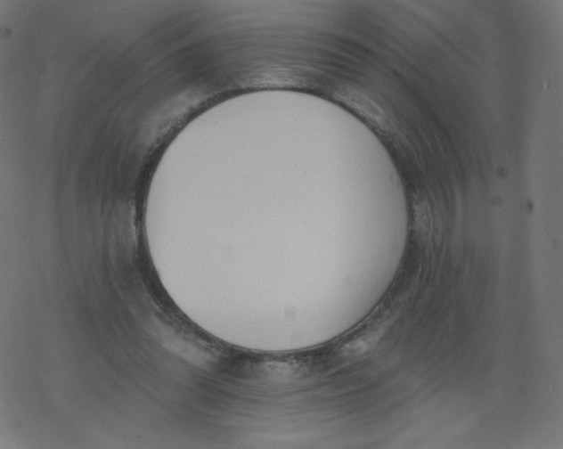 X0000077350302200611031828