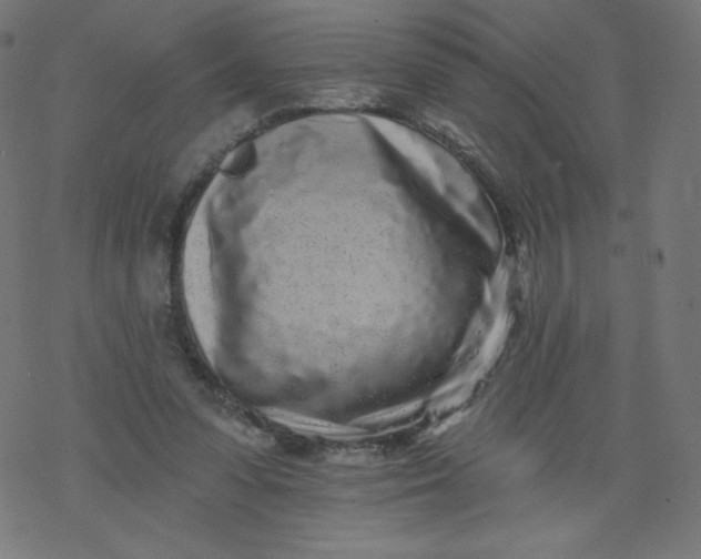 X0000077350303200611031828