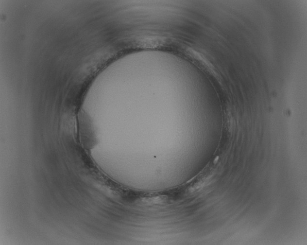 X0000077350307200611031828