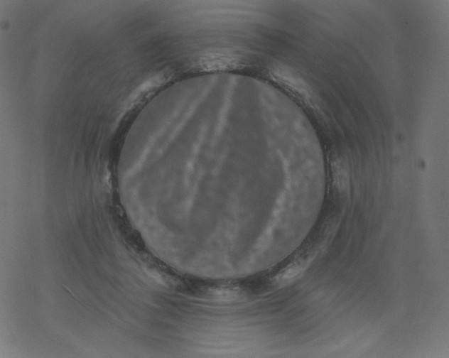 X0000077350308200611031828