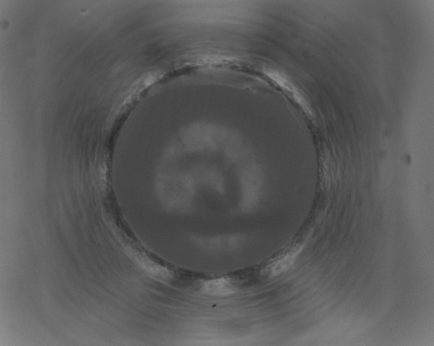 X0000077350309200611031828