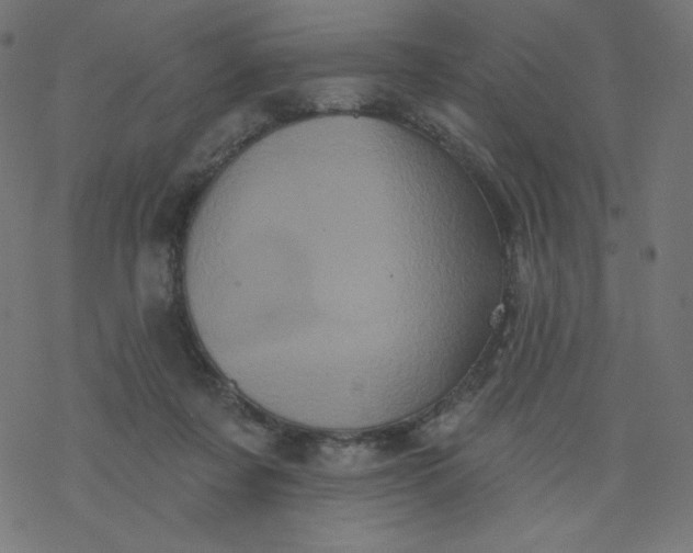 X0000077350311200611031828