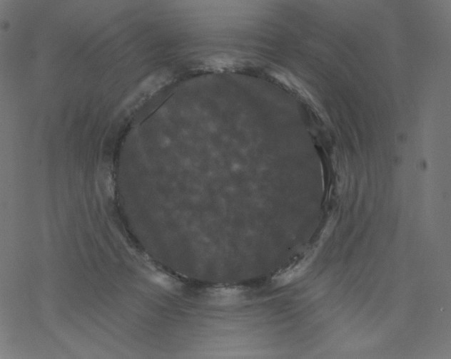 X0000077350313200611031828