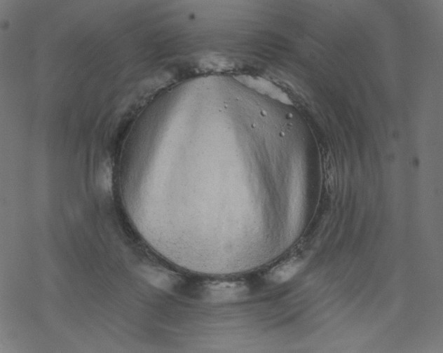 X0000077350315200611031828