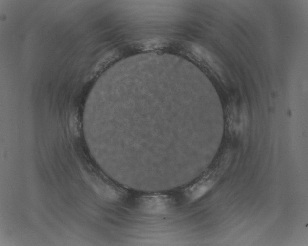 X0000077350316200611031828