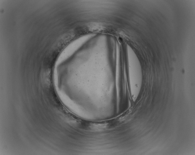 X0000077350319200611031827