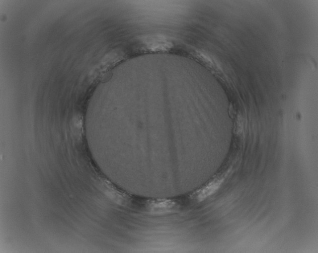 X0000077350321200611031827