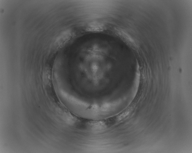 X0000077350322200611031827