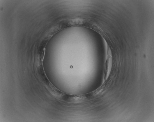 X0000077350323200611031827