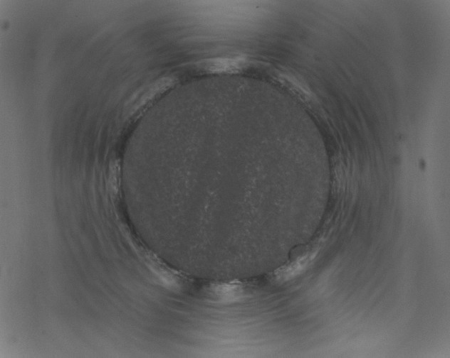 X0000077350325200611031827