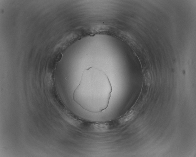 X0000077350327200611031827