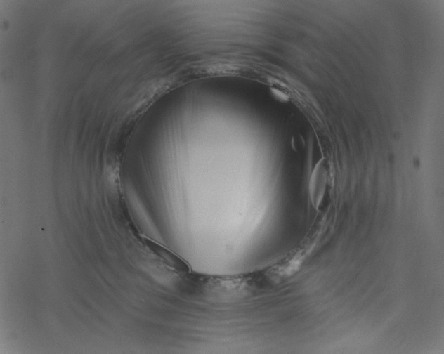 X0000077350329200611031827